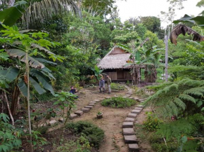 Omshanty Jungle Lodge